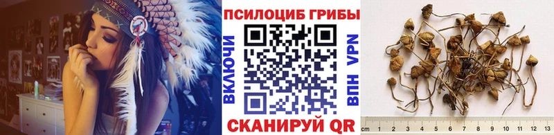 Галлюциногенные грибы прущие грибы Купить закладки Железногорск-Илимский