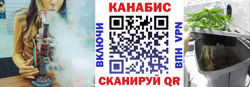 Бошки марихуана MAZAR  Купить закладки  Железногорск-Илимский 